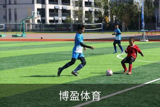 关于博盈体育